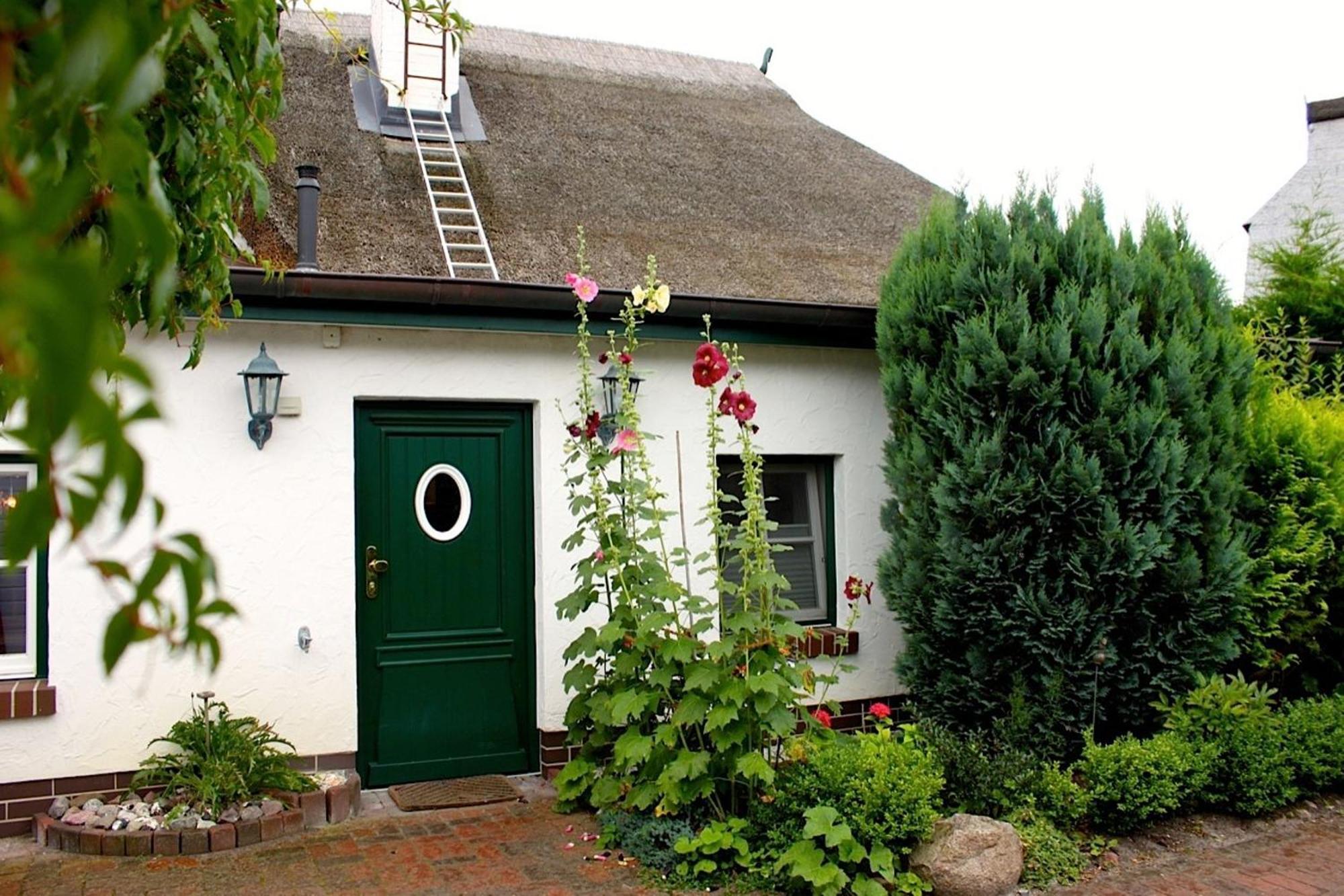 Birkenstrasse 10 Fischerhus Zingst Extérieur photo